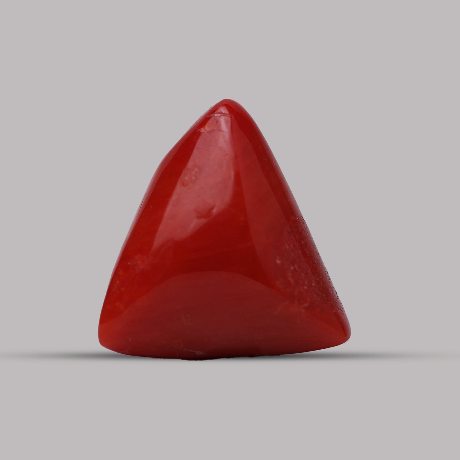 Red Coral - 13.00 Carat
