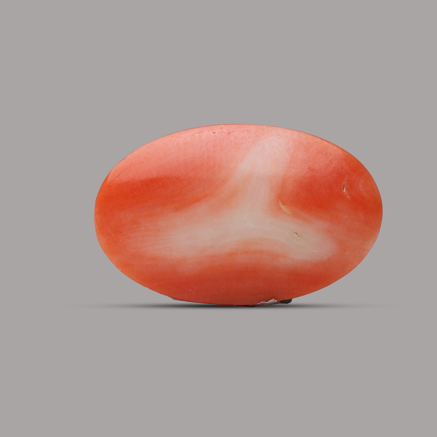 Red Coral - 7.47 Carat