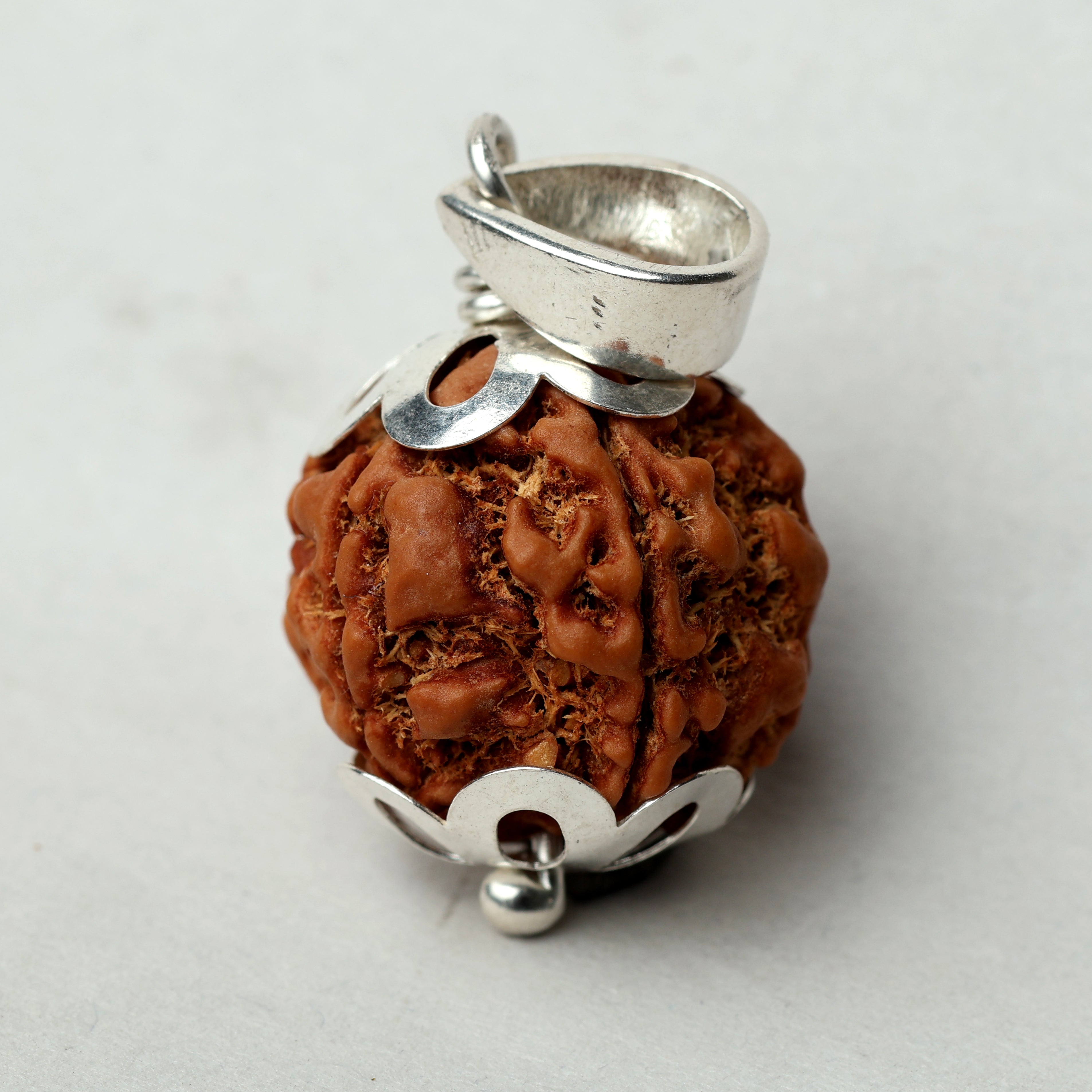 5 Mukhi Rudraksha