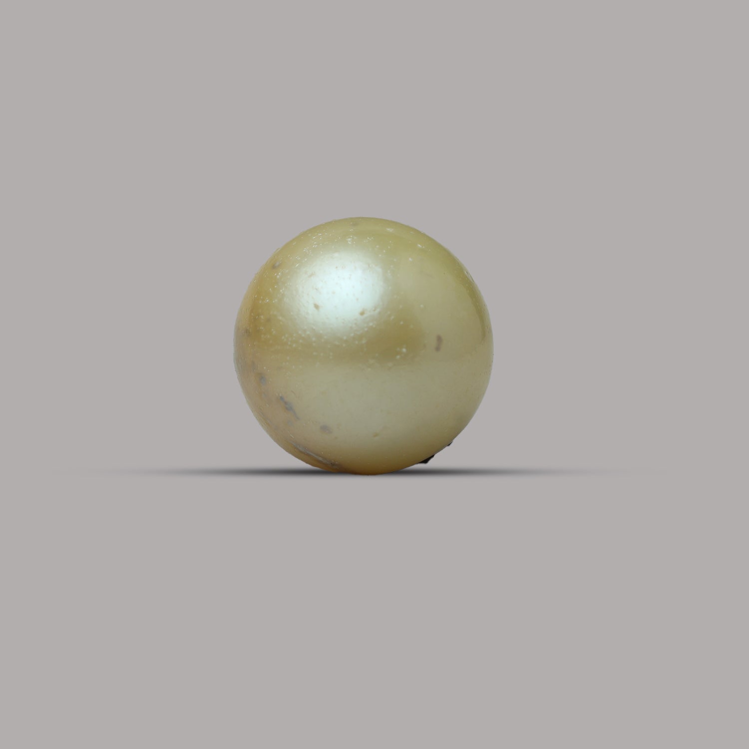 South Sea Pearl -  13.50 Carat