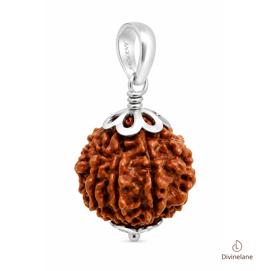 Certified Natural 9 Mukhi Rudraksha - Nepal Origin