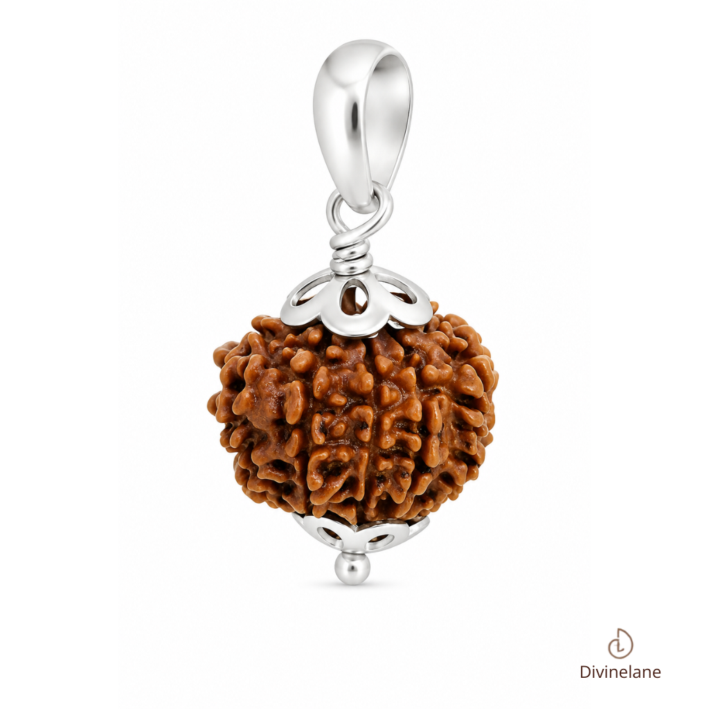 12 Mukhi Rudraksha