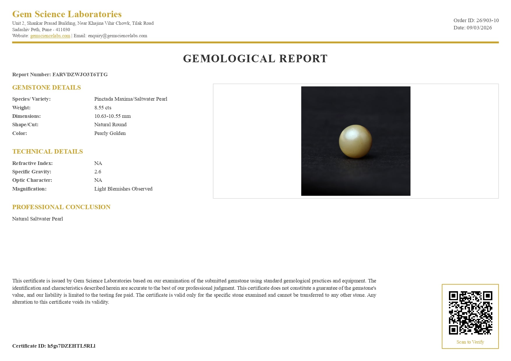 South Sea Pearl -  8.55 Carat