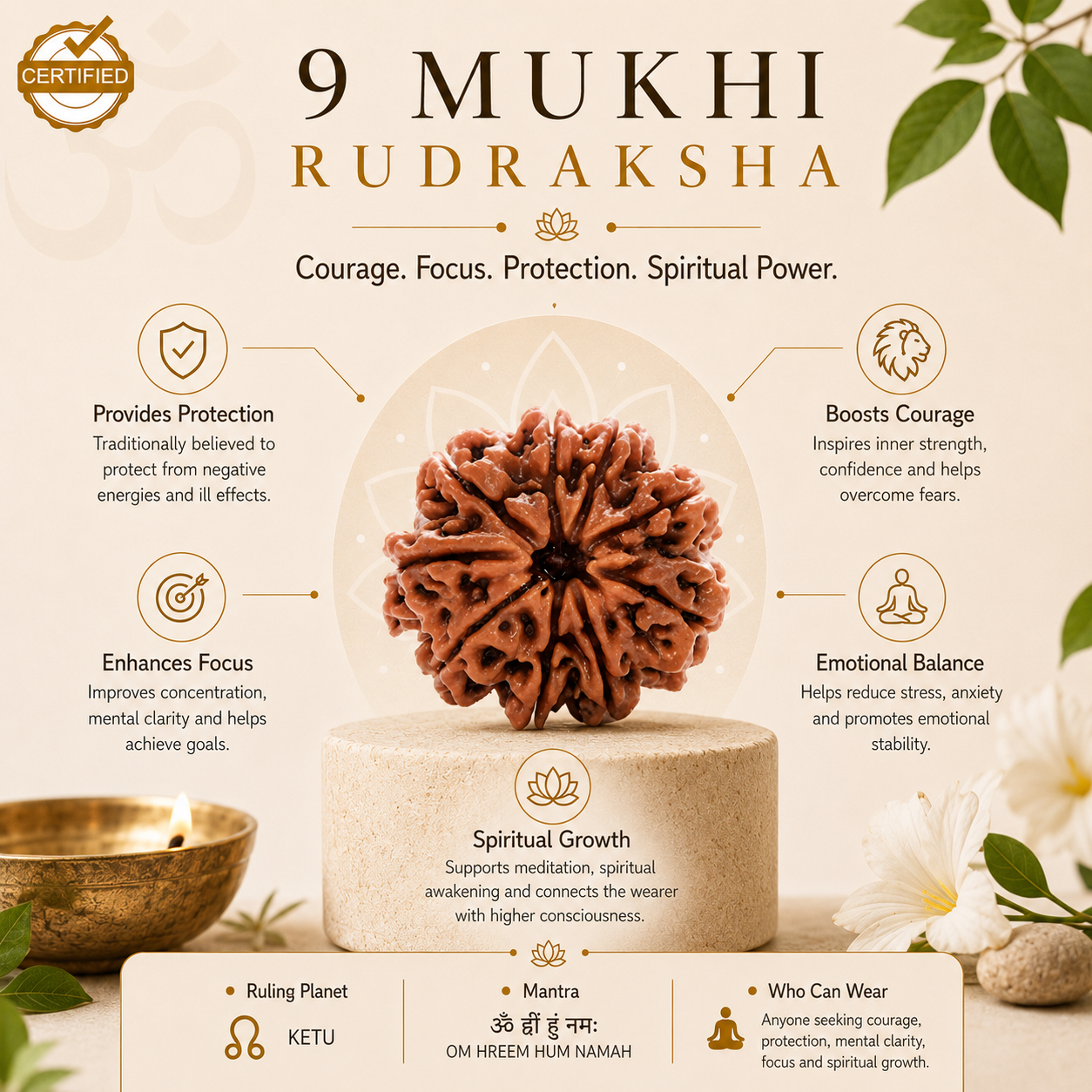 Certified Natural 9 Mukhi Rudraksha - Nepal Origin