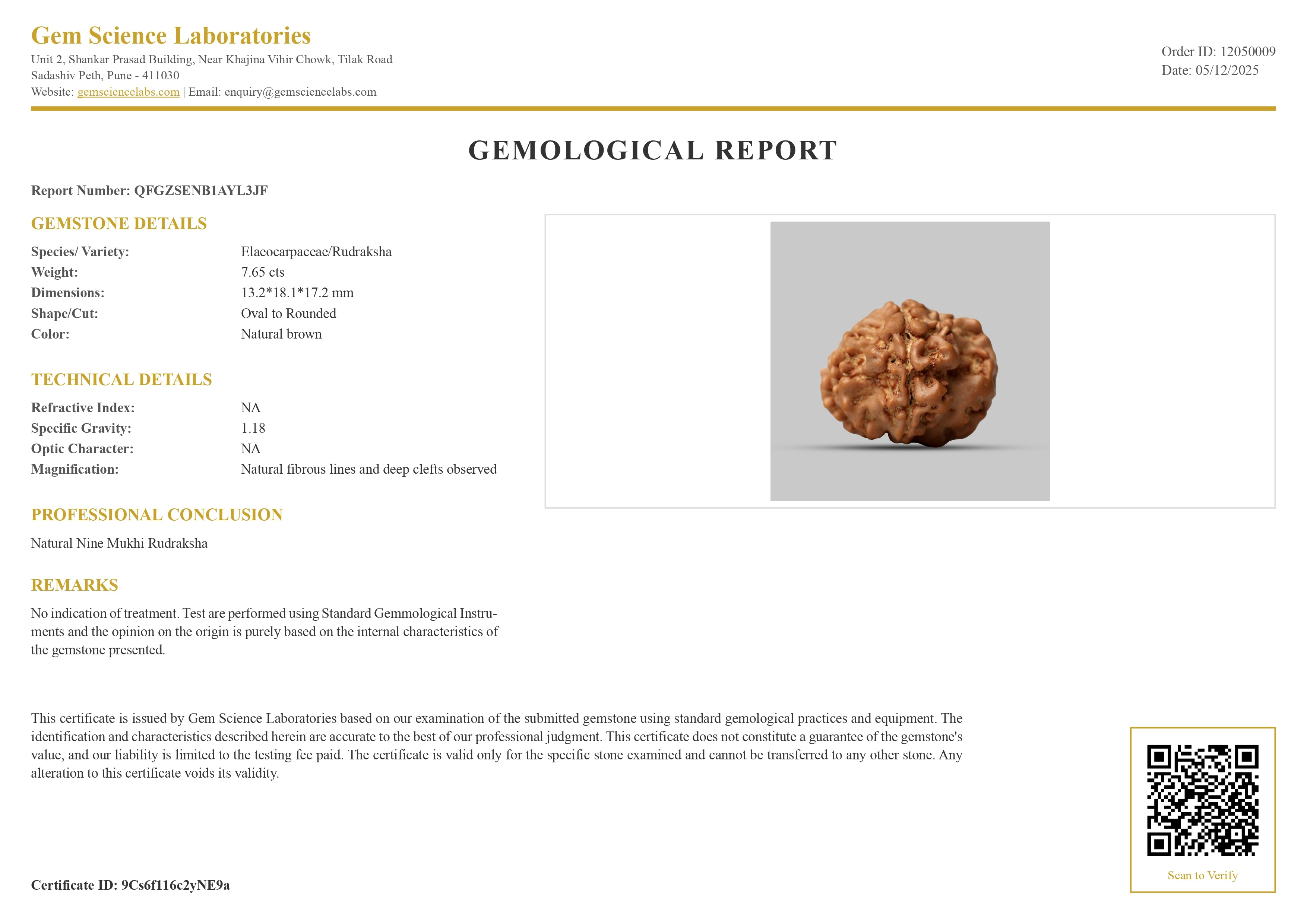 9 Mukhi Rudraksha