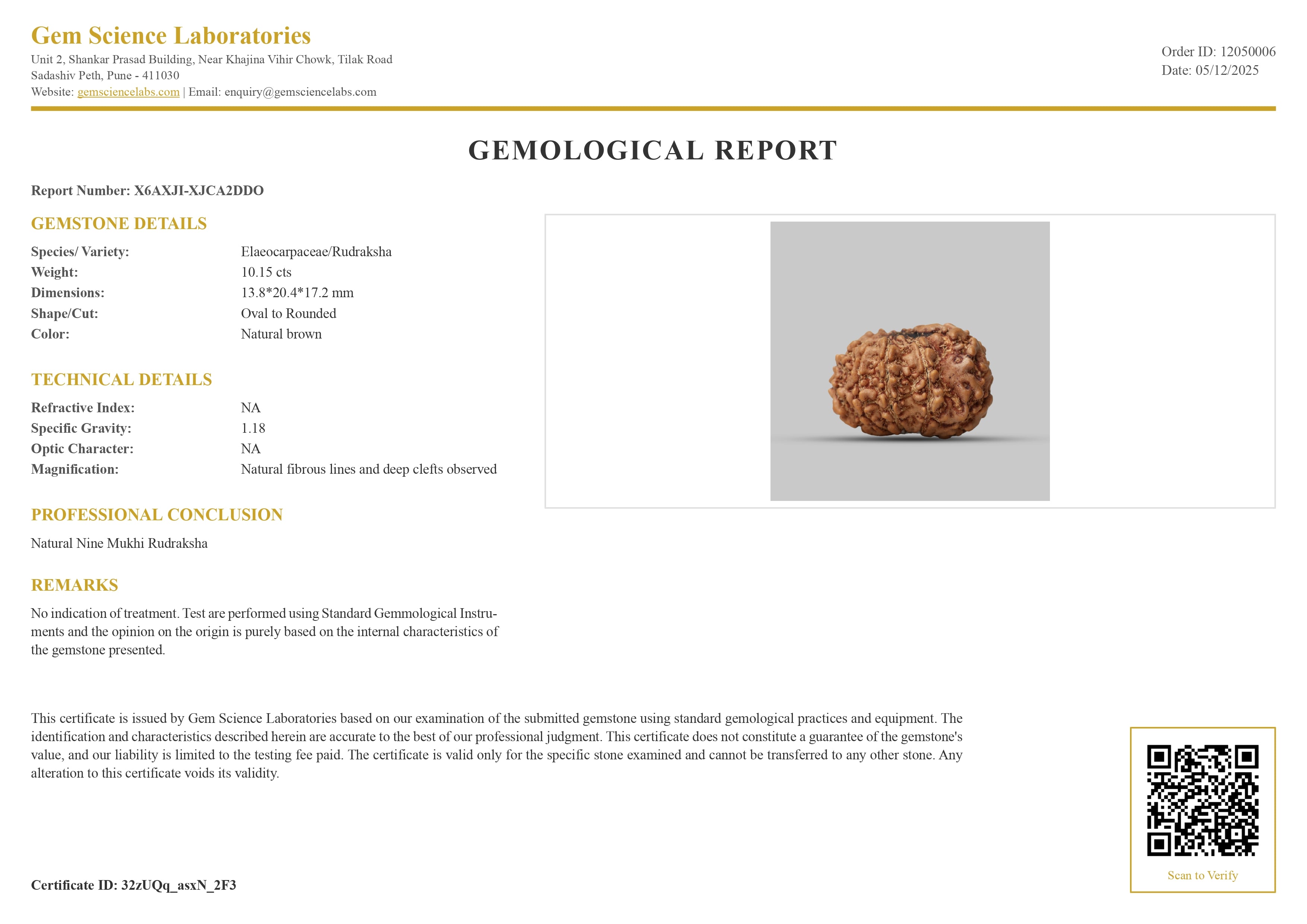 9 Mukhi Rudraksha