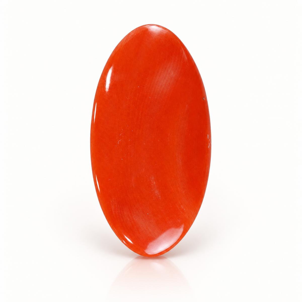NATURAL JAPAN RED CORAL 10.95 ct (Premium)