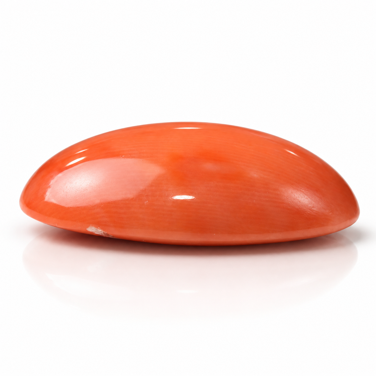 NATURAL JAPAN RED CORAL 10.9 ct
