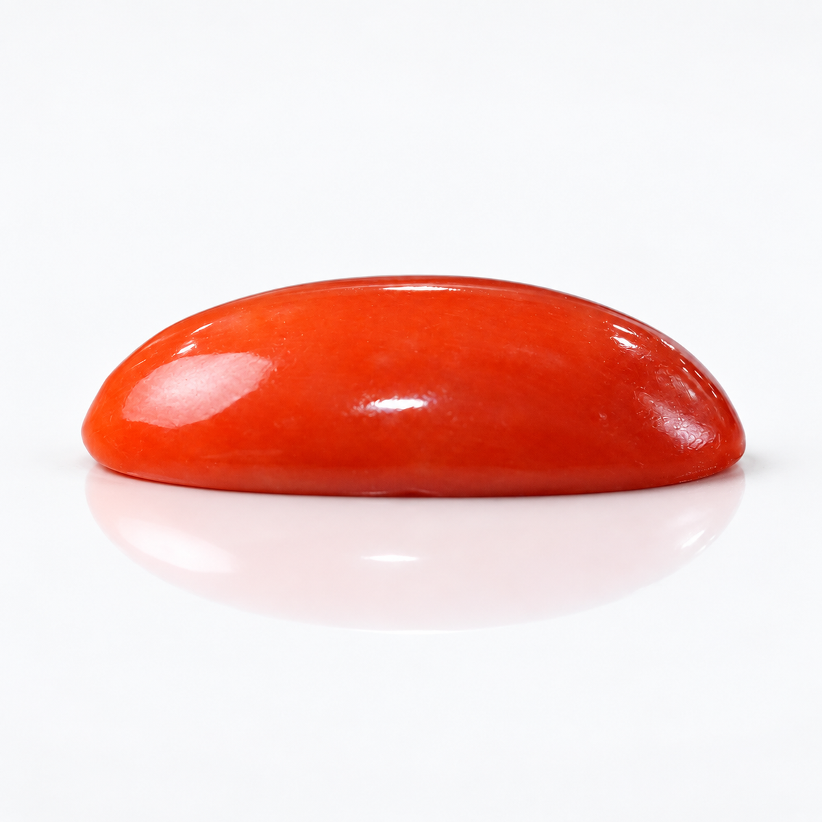NATURAL JAPAN RED CORAL 16.55 ct (Premium)