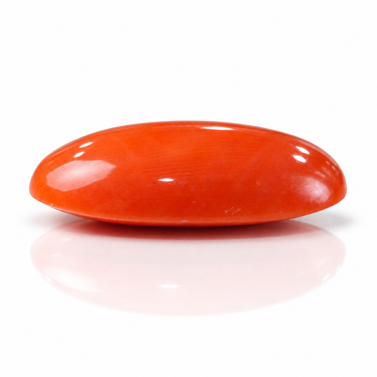 NATURAL JAPAN RED CORAL 10.8 ct (Premium)