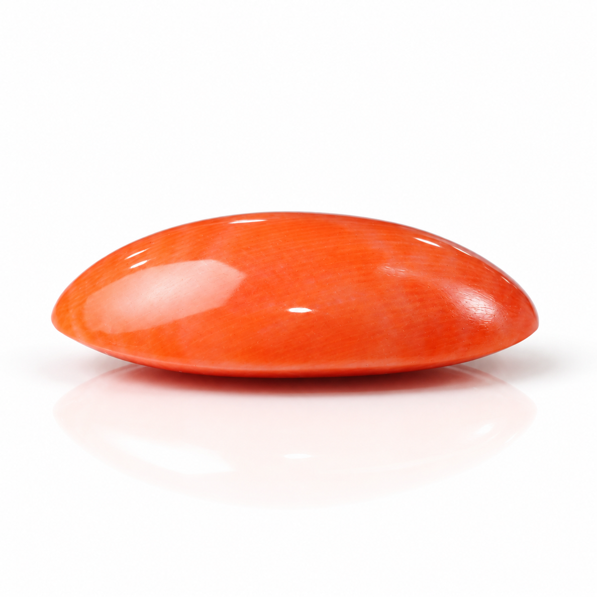 sheet:p_24_2026_06_32_03_PM_1.png?v=1790667420