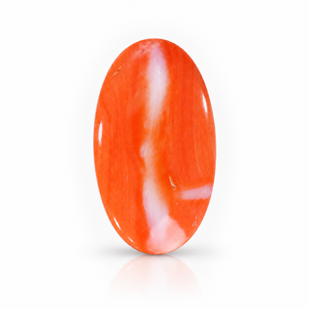 sheet:-4a2c-8397-e6ec29833b0c.png?v=1790667466