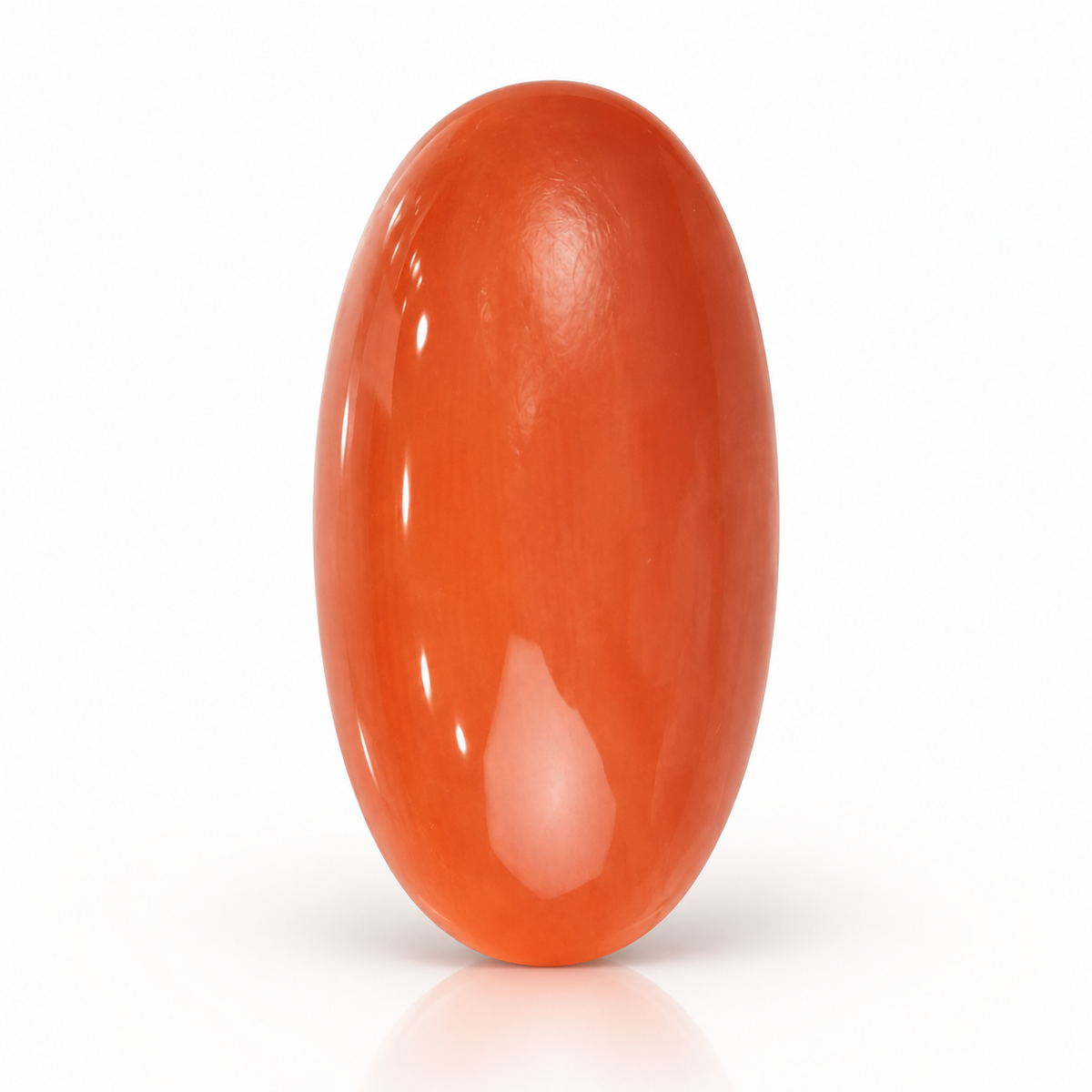 sheet:p_24_2026_10_26_07_AM_2.png?v=1790253626