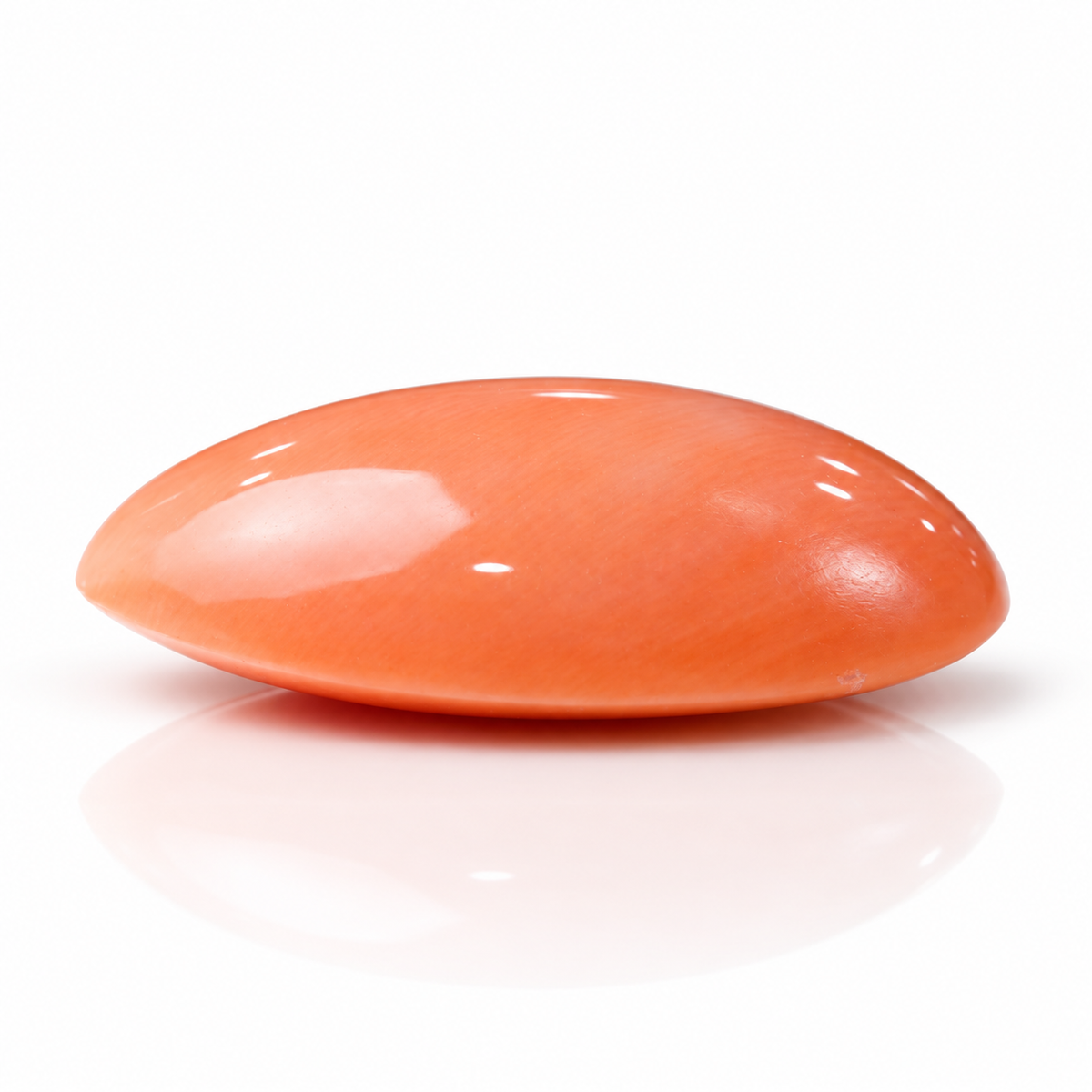 sheet:p_25_2026_10_50_39_AM-1.png?v=1790667615