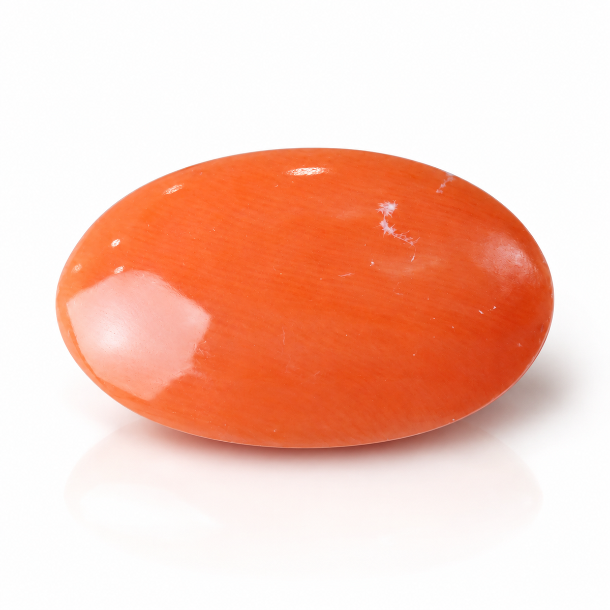 sheet:p_25_2026_10_50_42_AM-3.png?v=1790667610