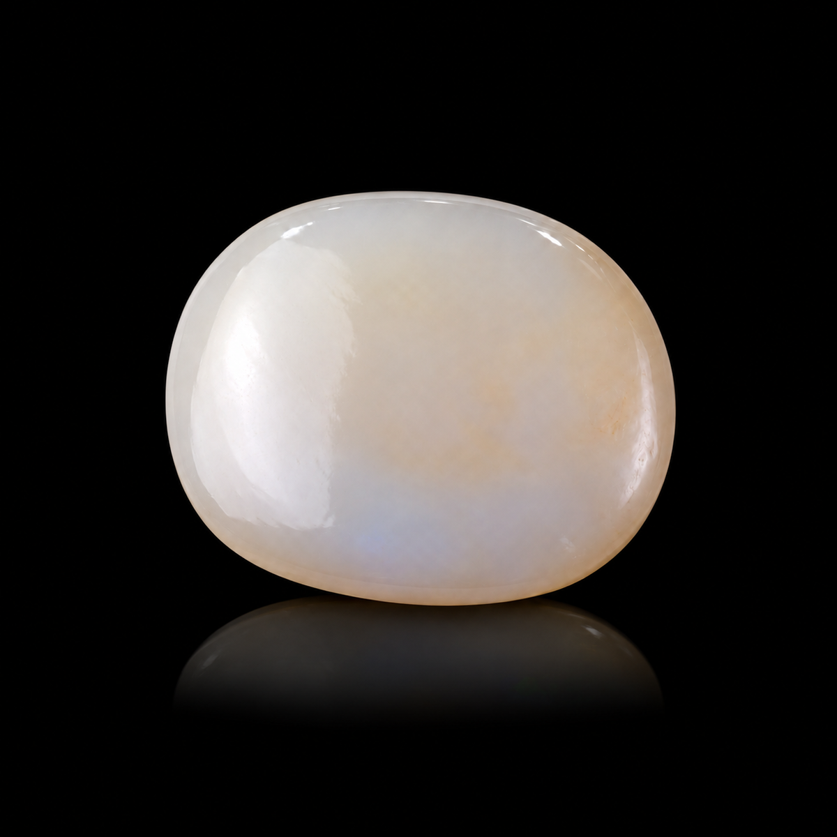 sheet:p_29_2026_03_34_41_PM-2.png?v=1791007781