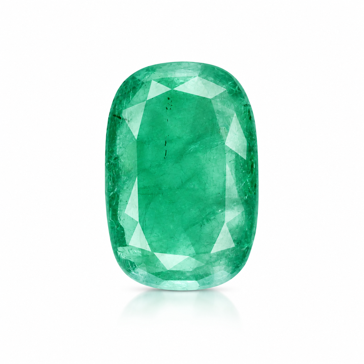 sheet:cushion_cut_back_view-2.png?v=1792424591