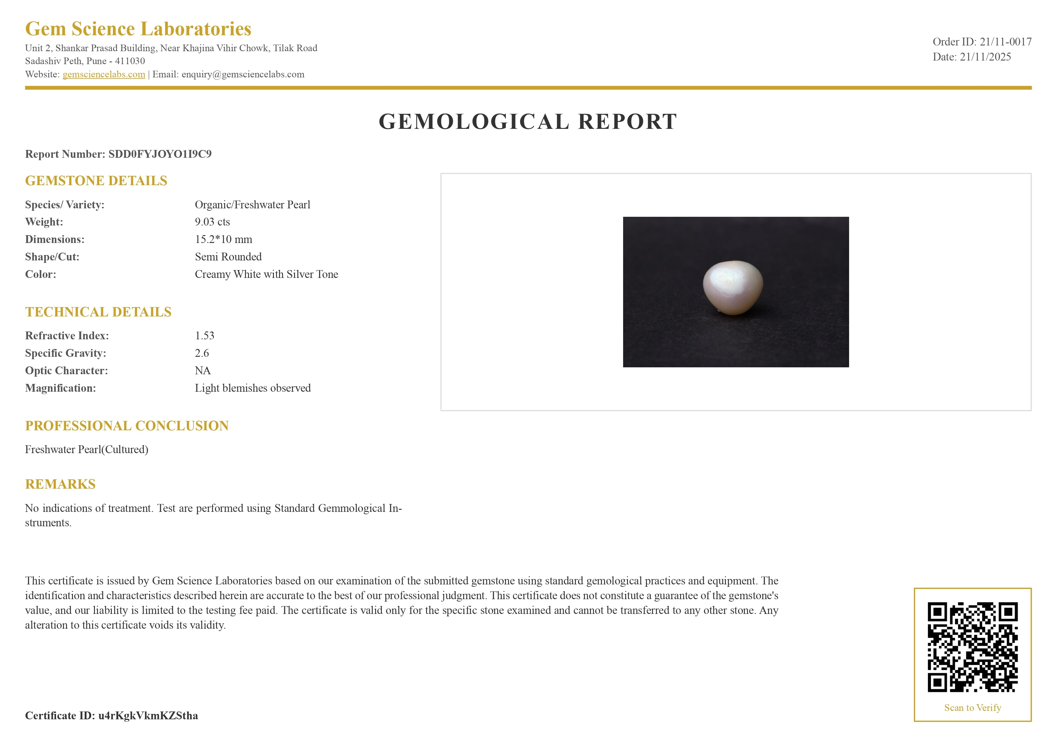 Fresh Water Pearl - 9.03 Carat