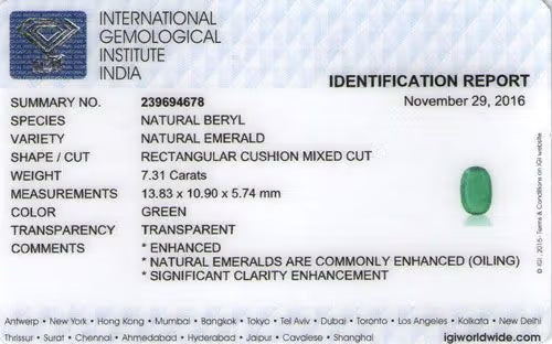 International Gemological Institute