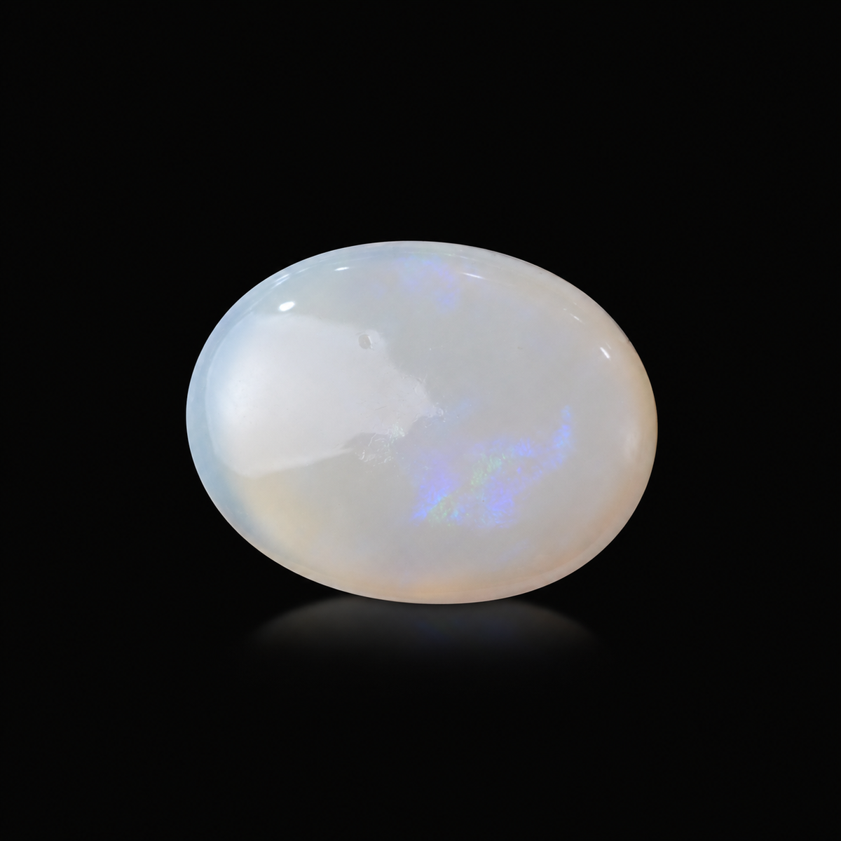 sheet:pal_on_black_backdrop-3.png?v=1791605768
