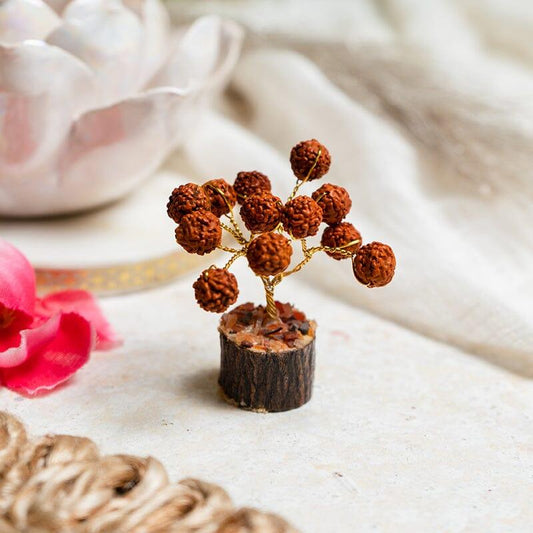 OTO - positivity, prosperity Rudraksha Tree