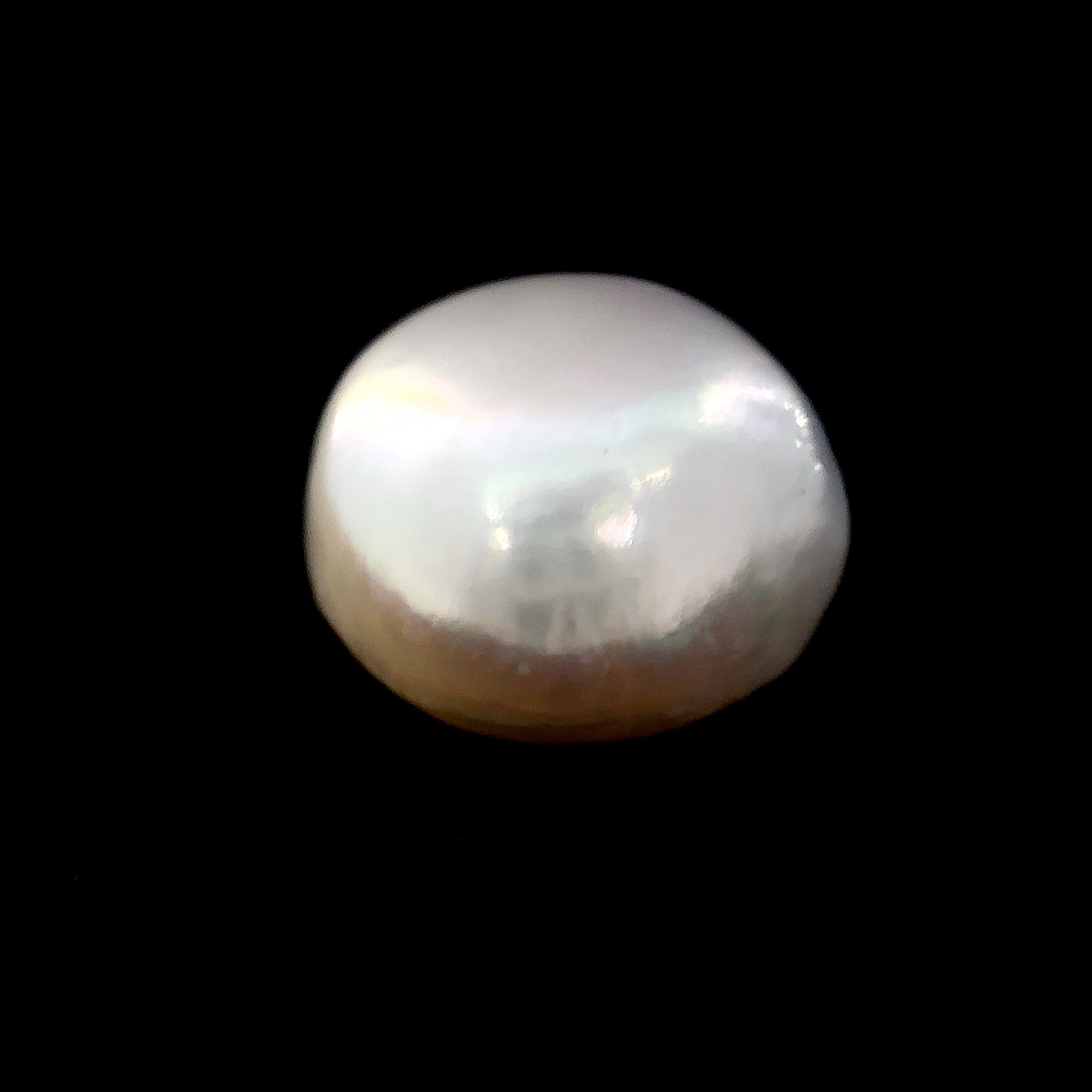Fresh Water Pearl - 8.15 Carat