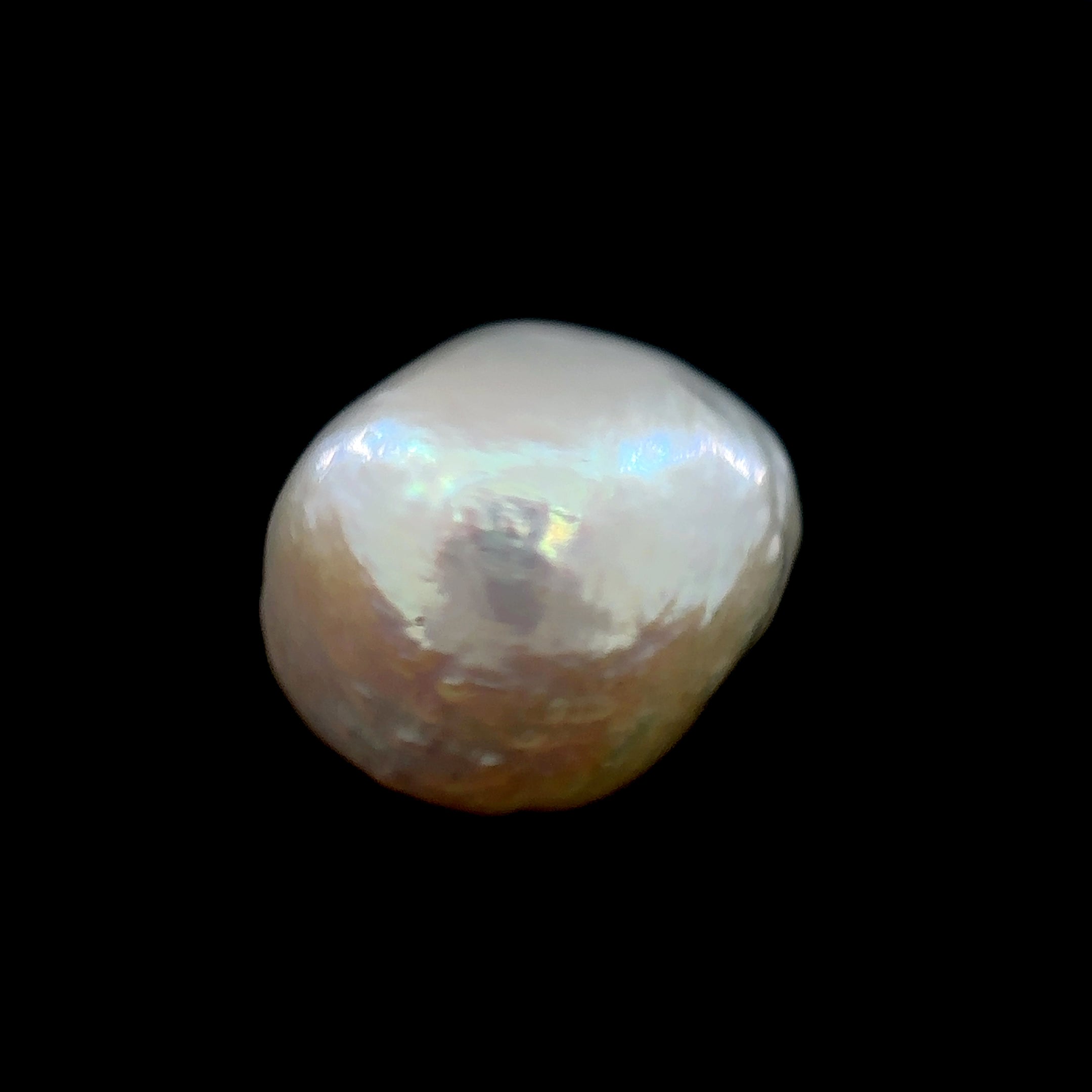 Fresh Water Pearl - 8.55 Carat