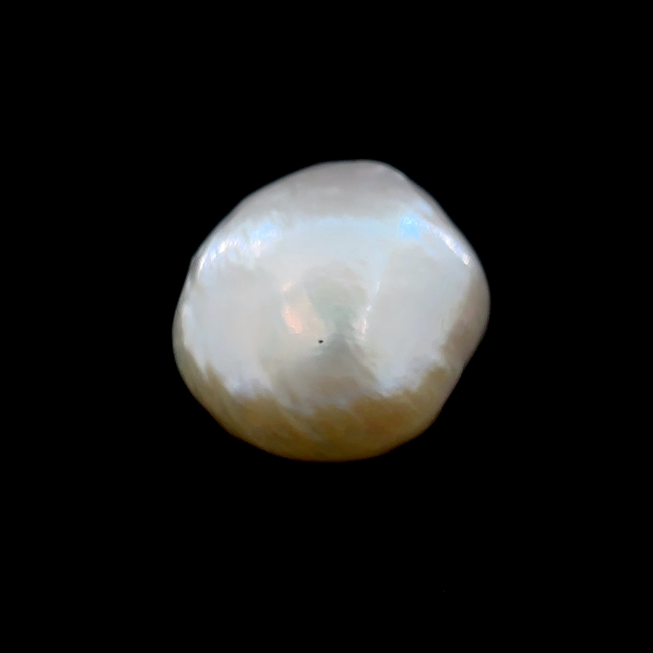 Fresh Water Pearl - 8.55 Carat