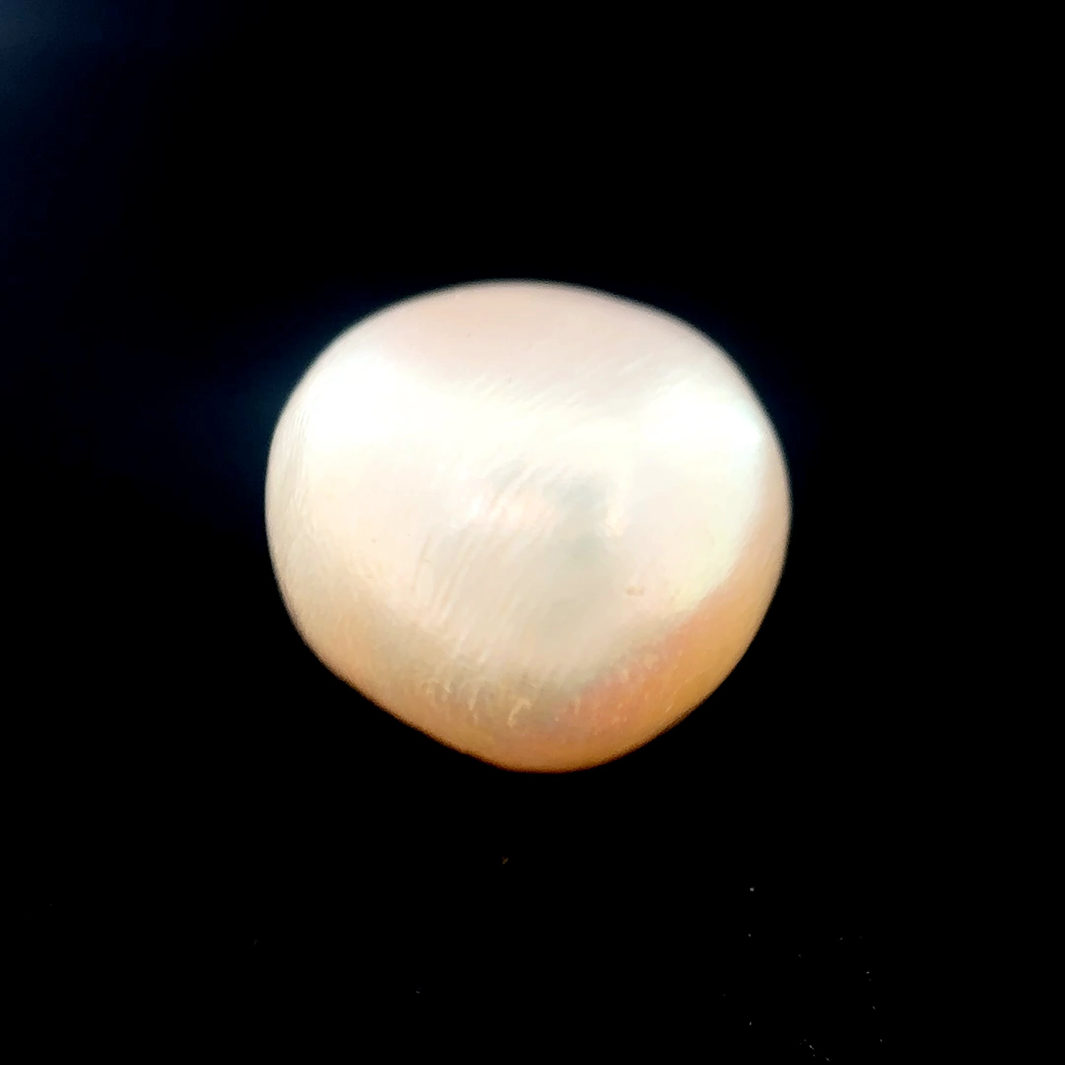 Fresh Water Pearl - 9 Carat