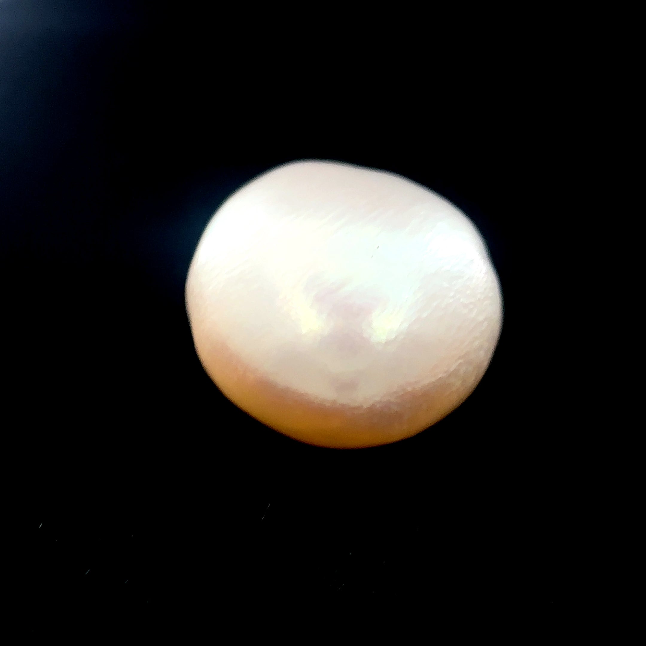 Fresh Water Pearl - 9 Carat