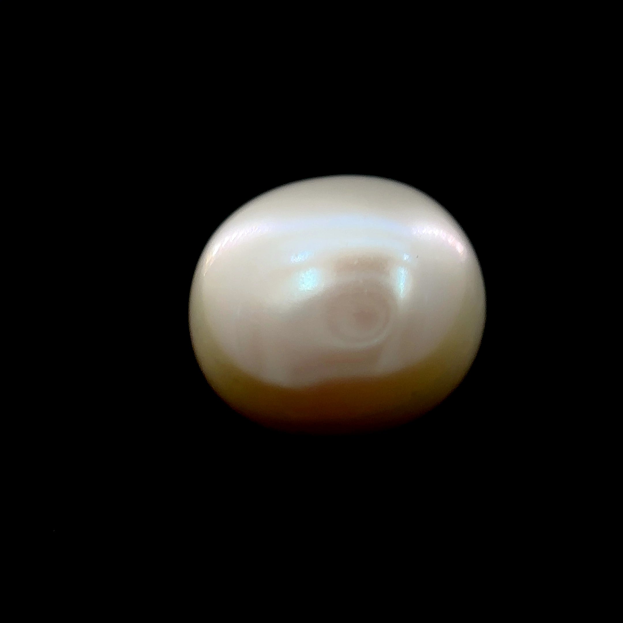 Fresh Water Pearl - 7.80 Carat