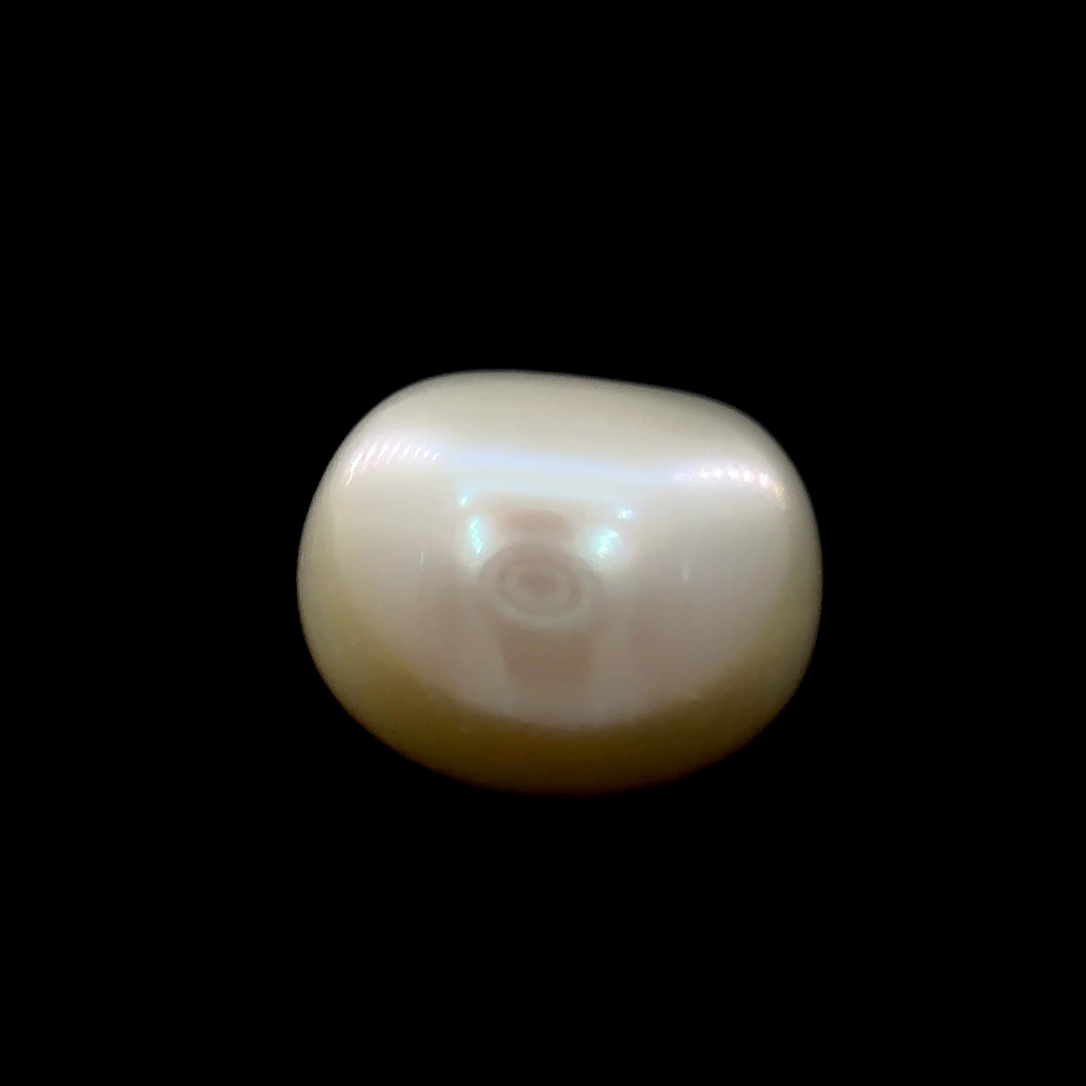 Fresh Water Pearl - 7.80 Carat