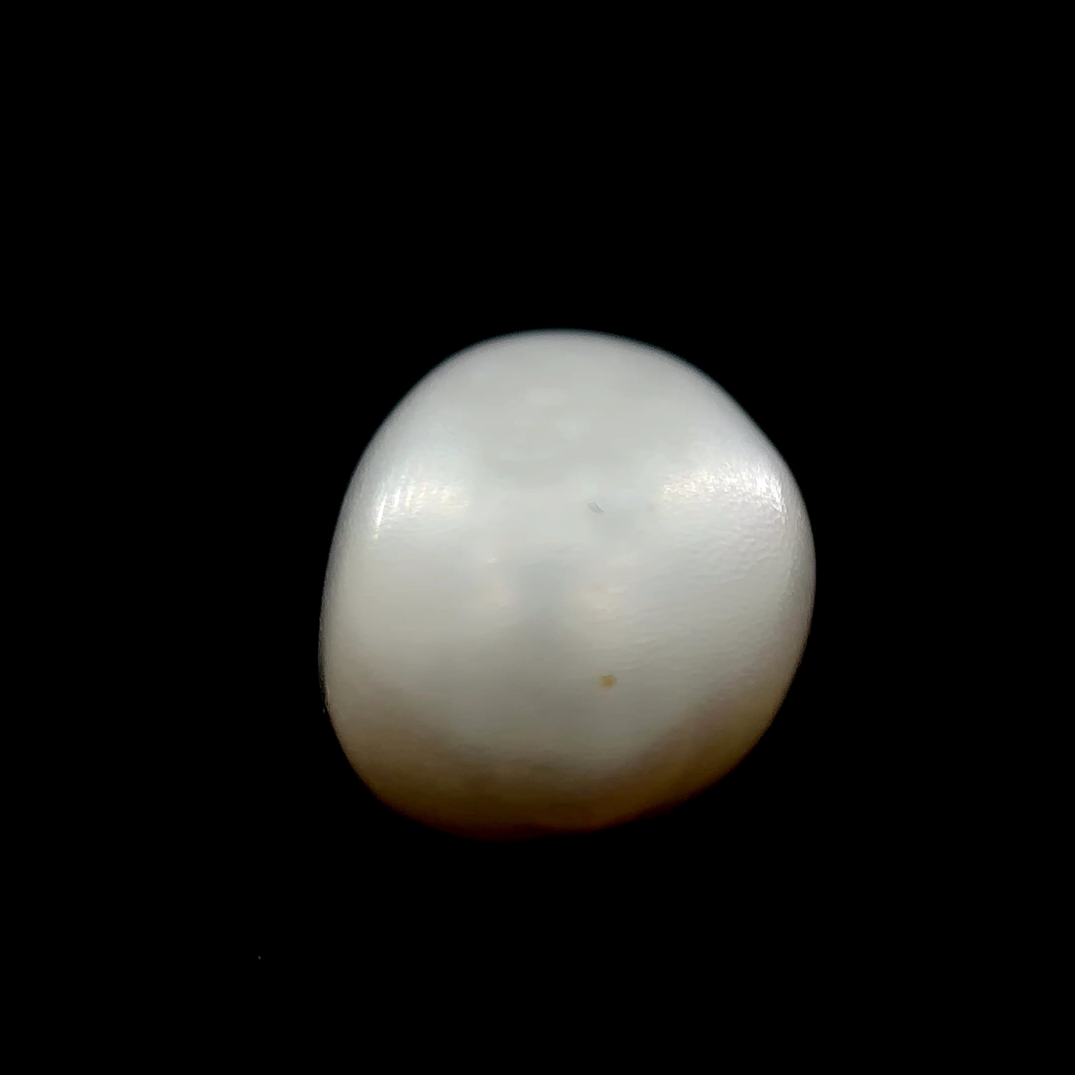 Fresh Water Pearl - 9.65 Carat