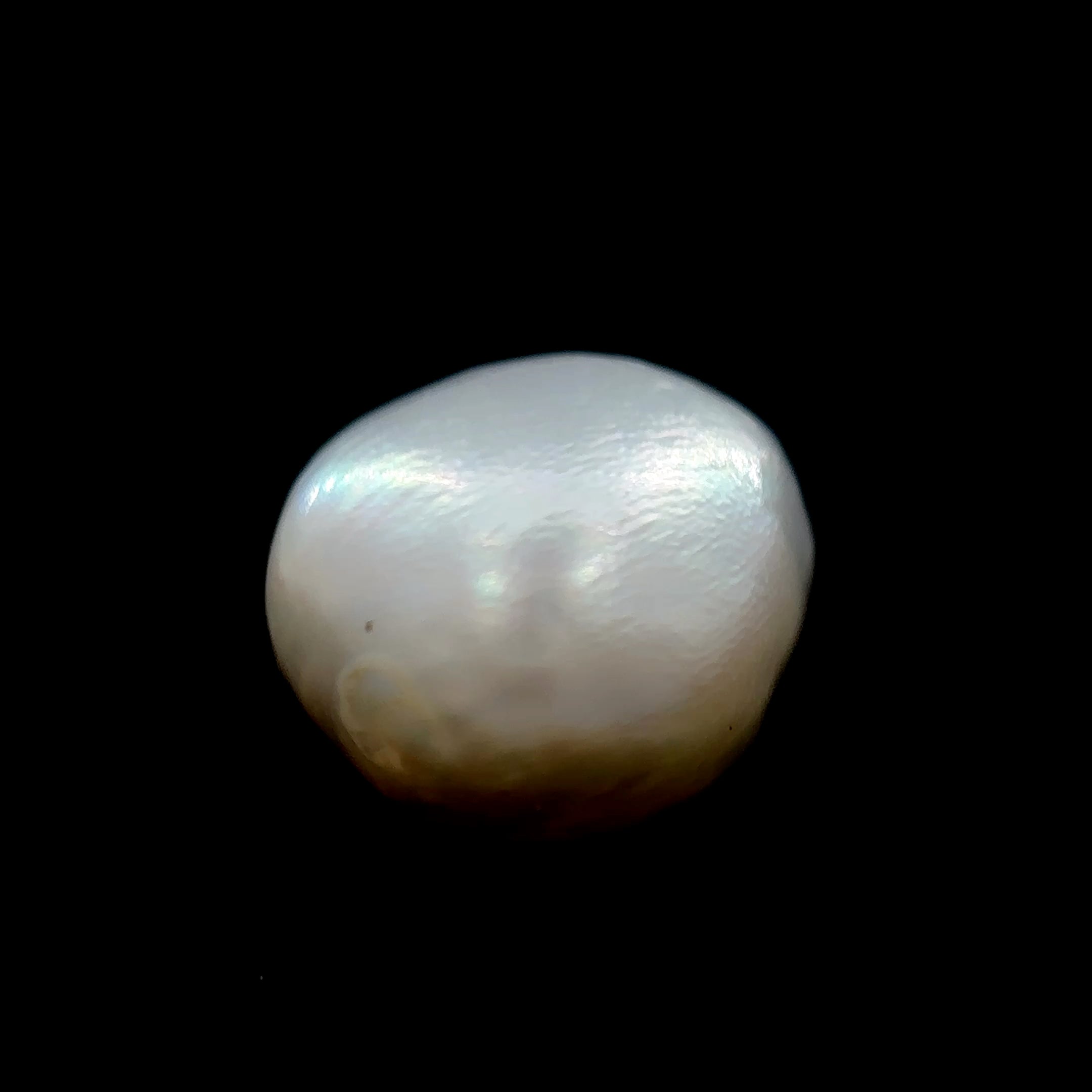Fresh Water Pearl - 8.45 Carat
