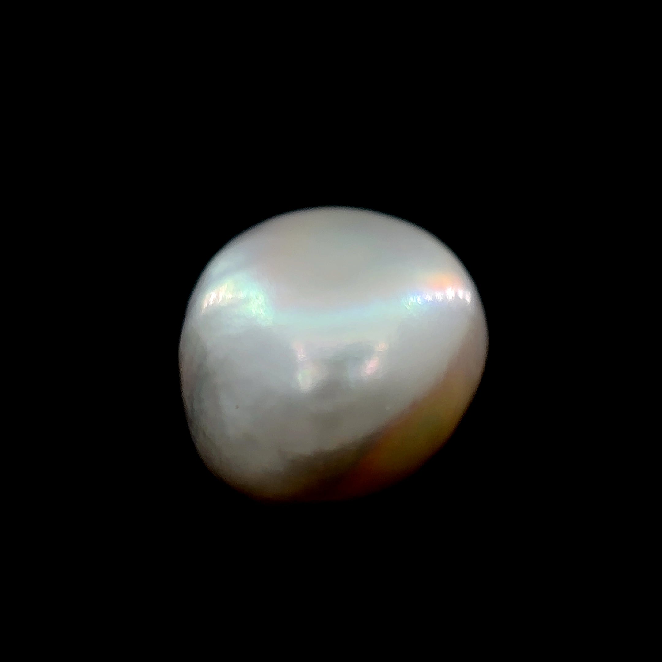 Fresh Water Pearl - 8.25 Carat