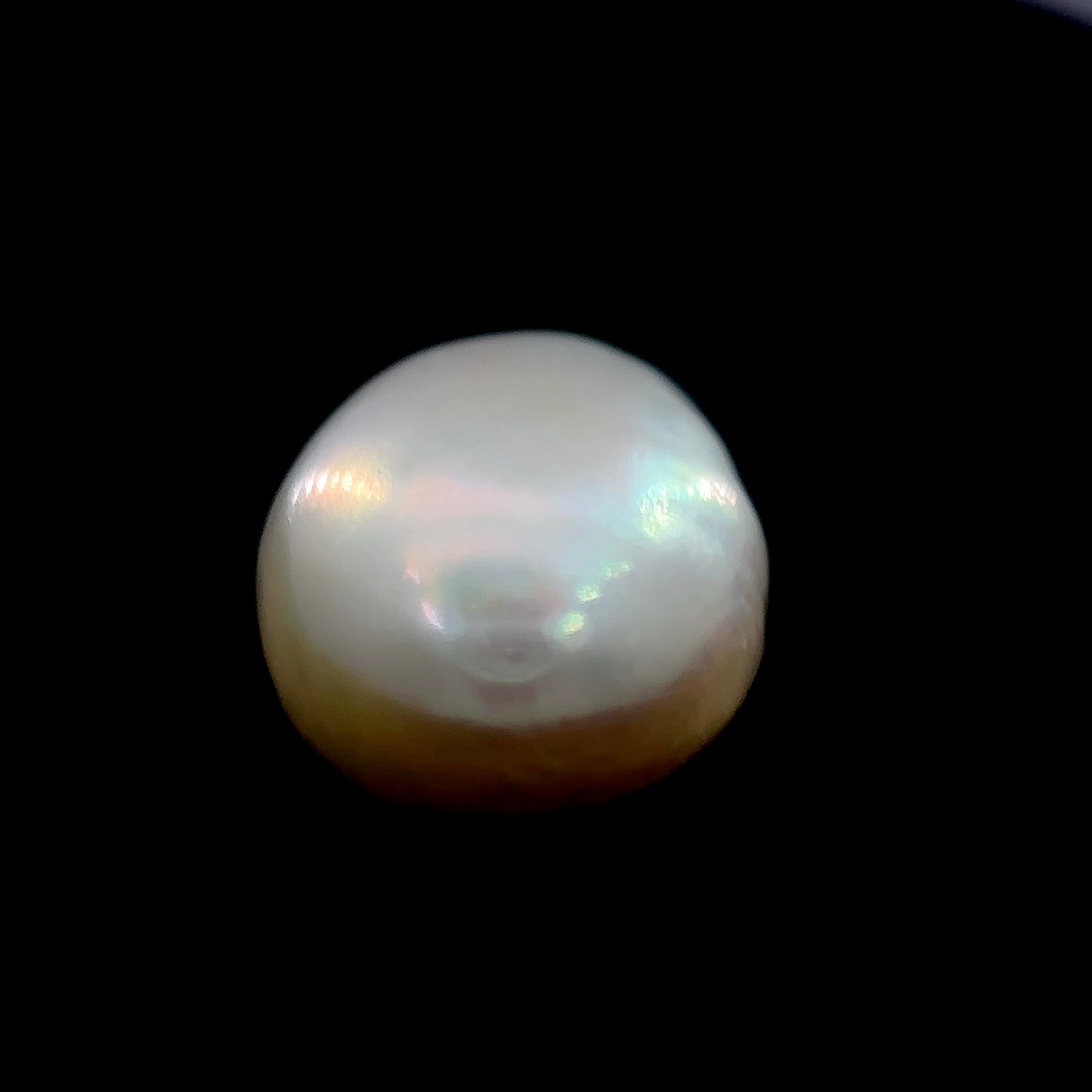 Fresh Water Pearl - 8.25 Carat