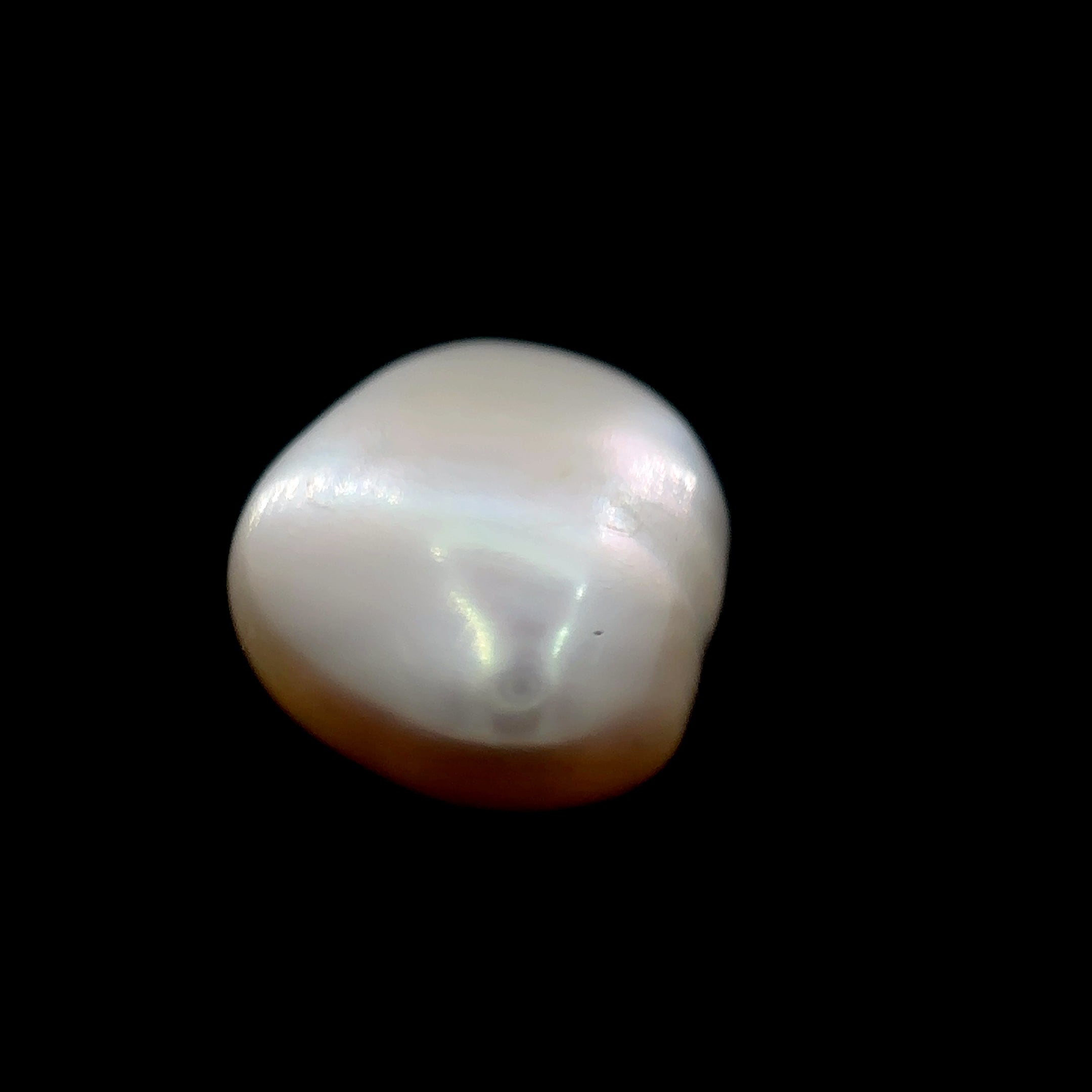 Fresh Water Pearl - 7.70 Carat