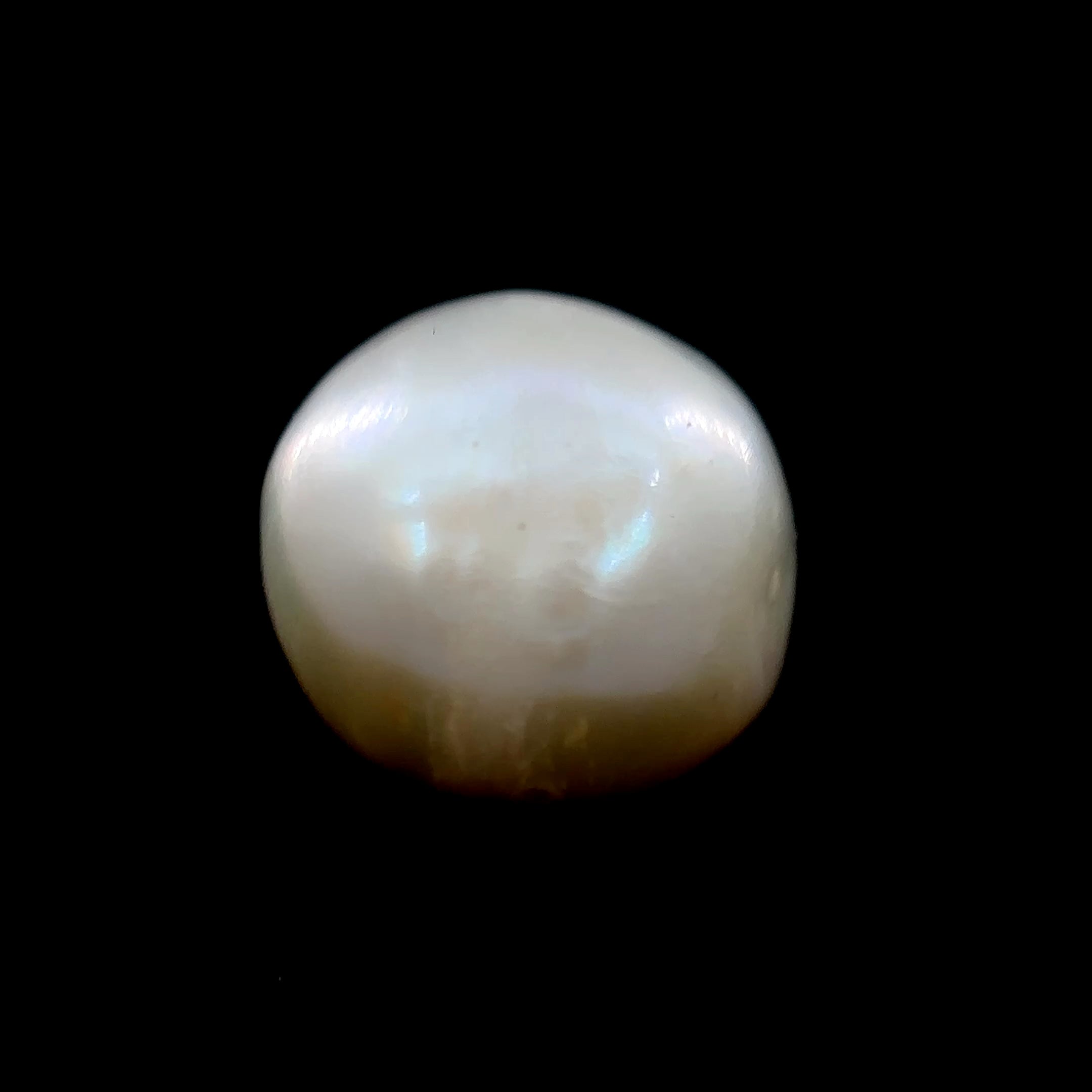 Fresh Water Pearl - 9.50 Carat