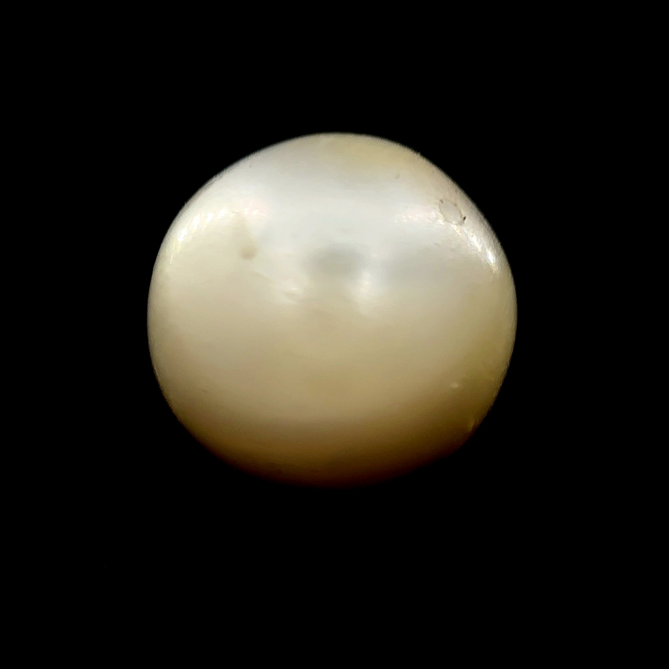 South Sea Pearl - 14.45 Carat