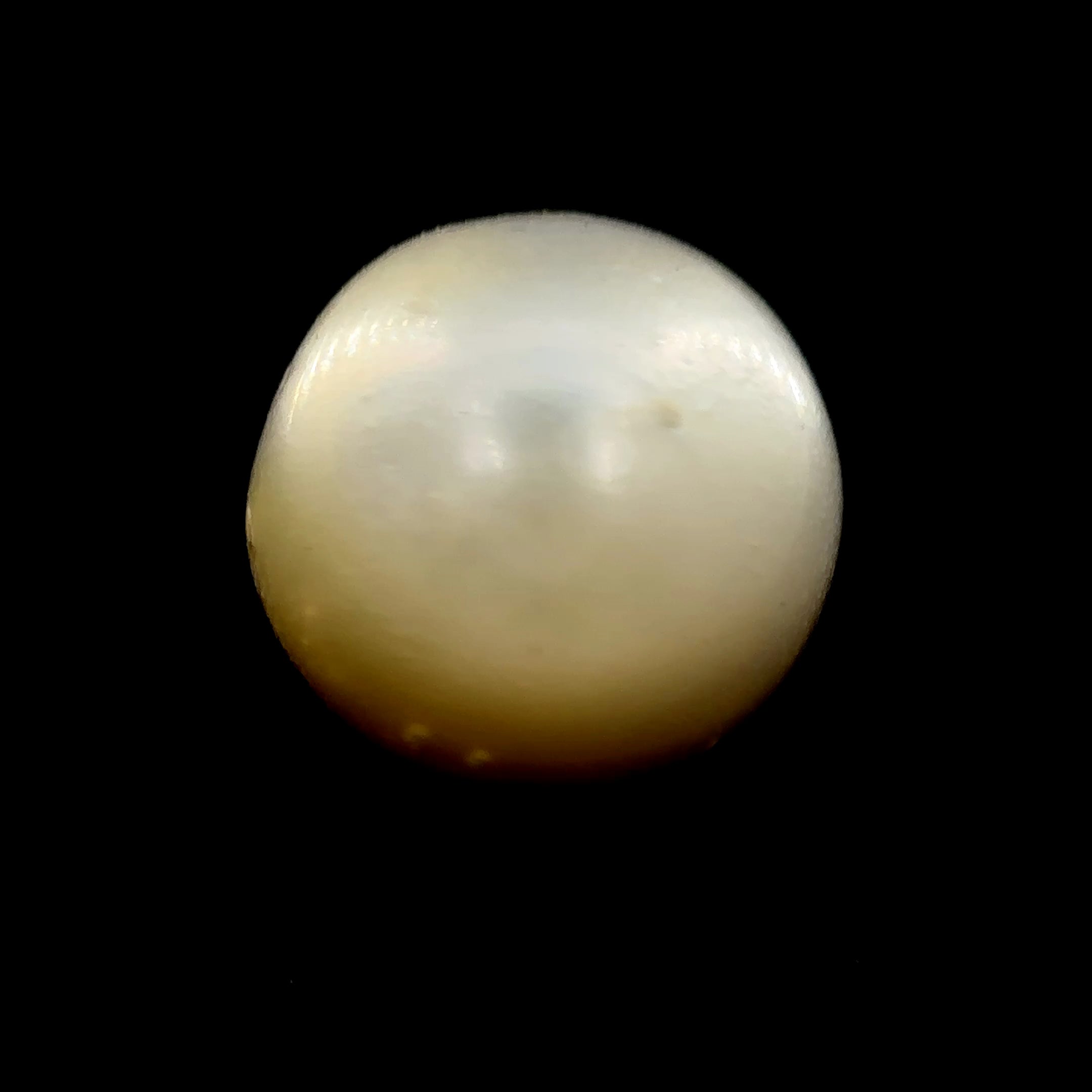 South Sea Pearl - 14.45 Carat