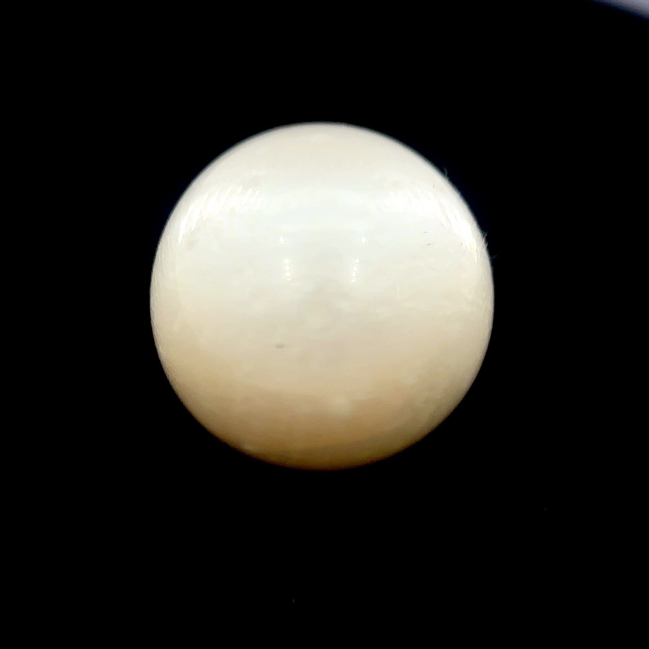 South Sea Pearl - 13.55 Carat