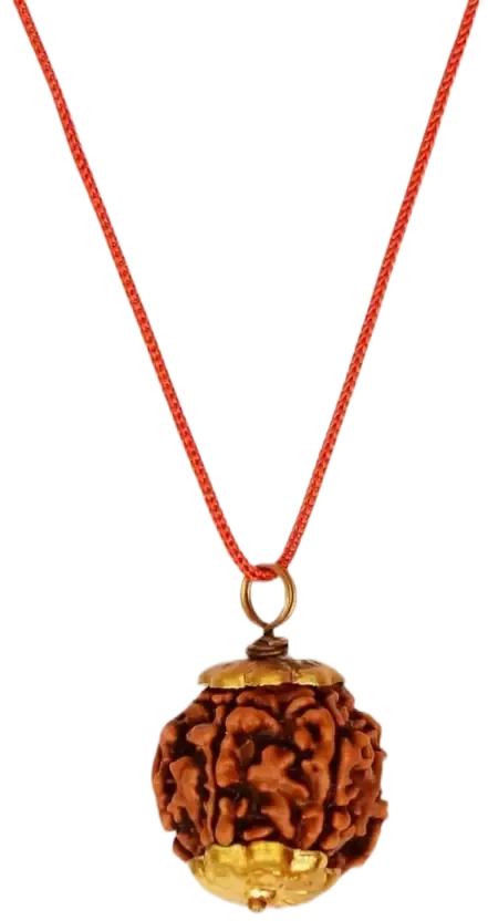 5 Mukhi Nepali Rudraksha