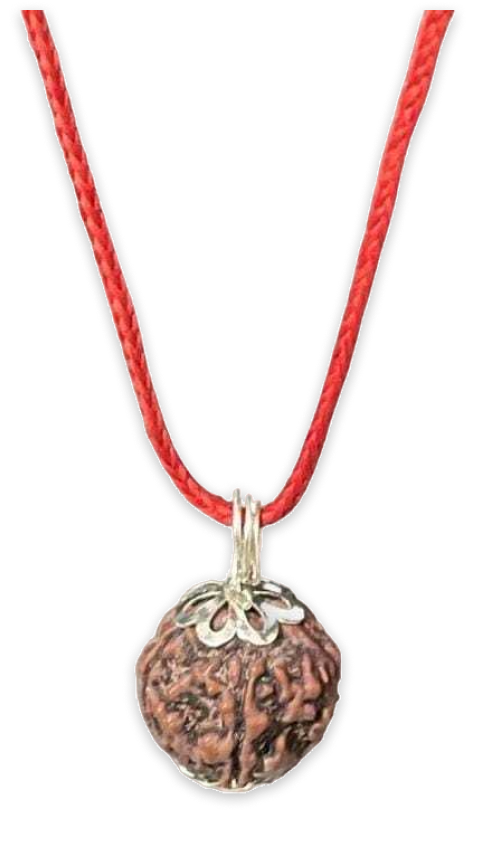 Saptamukhi Rudraksha